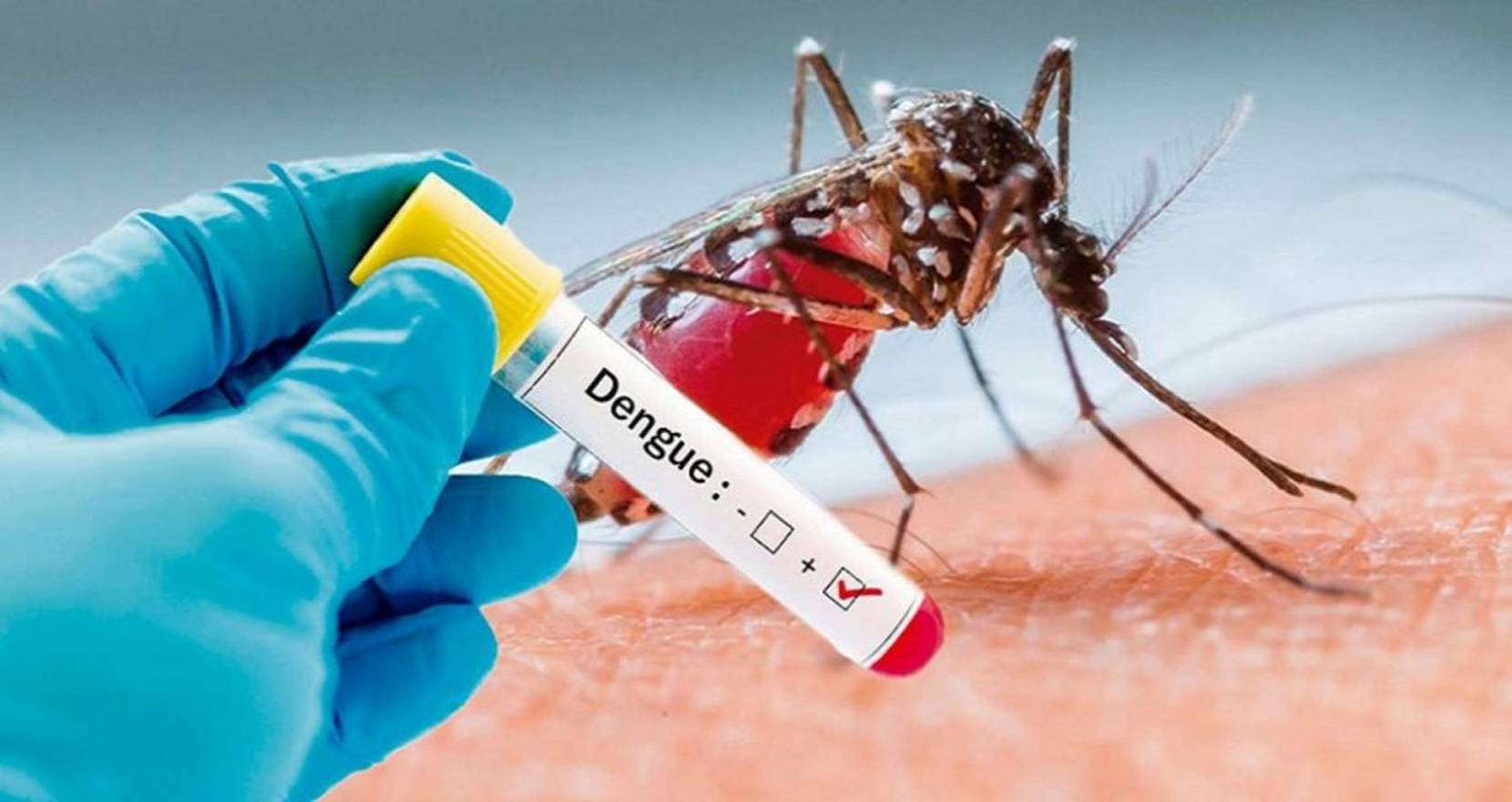 О лихорадке денге важно знать каждому. Вот как её заметить и лечить
