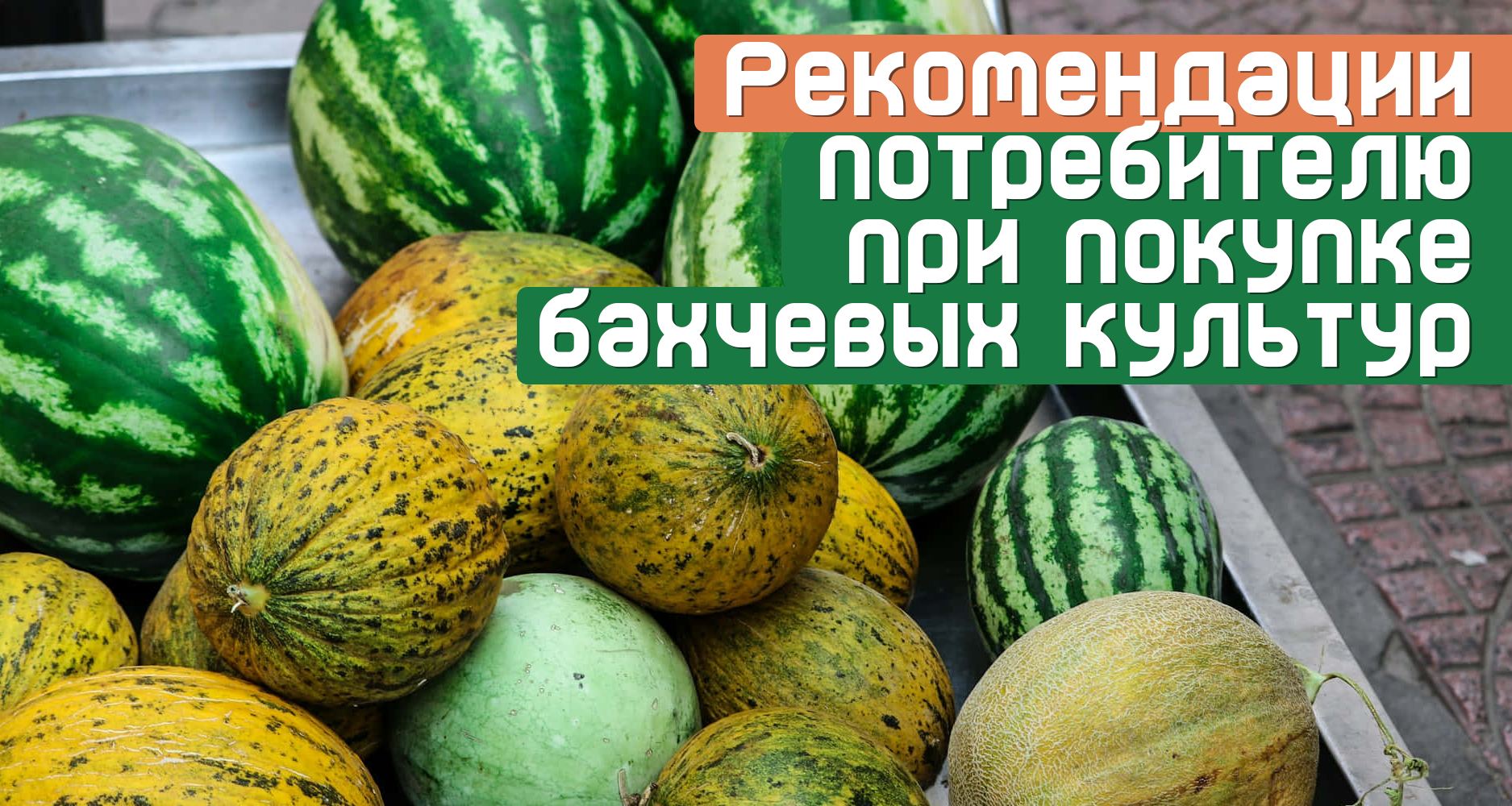 Полезные советы, которыми необходимо пользоваться при покупке и потреблении бахчевых