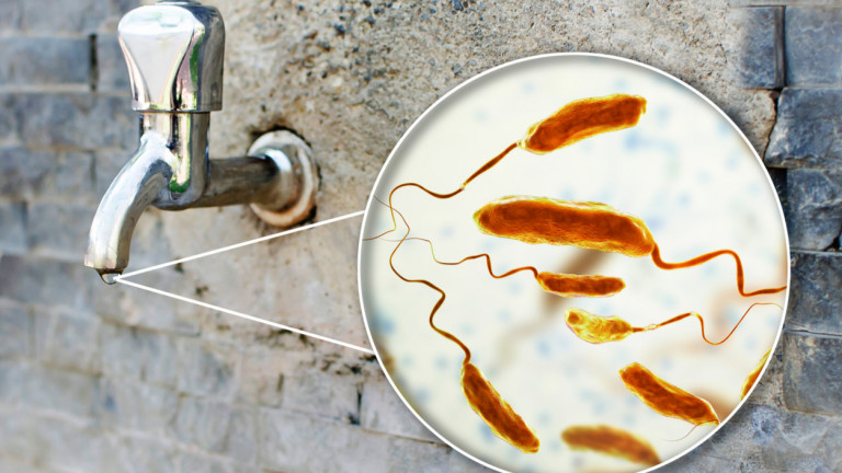 Холера – эпидемиологическая ситуация в мире