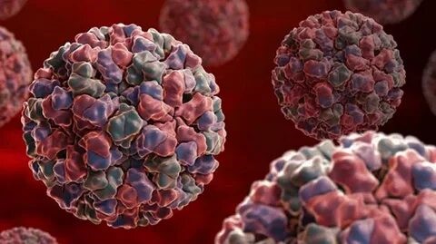 Норовирусная инфекция