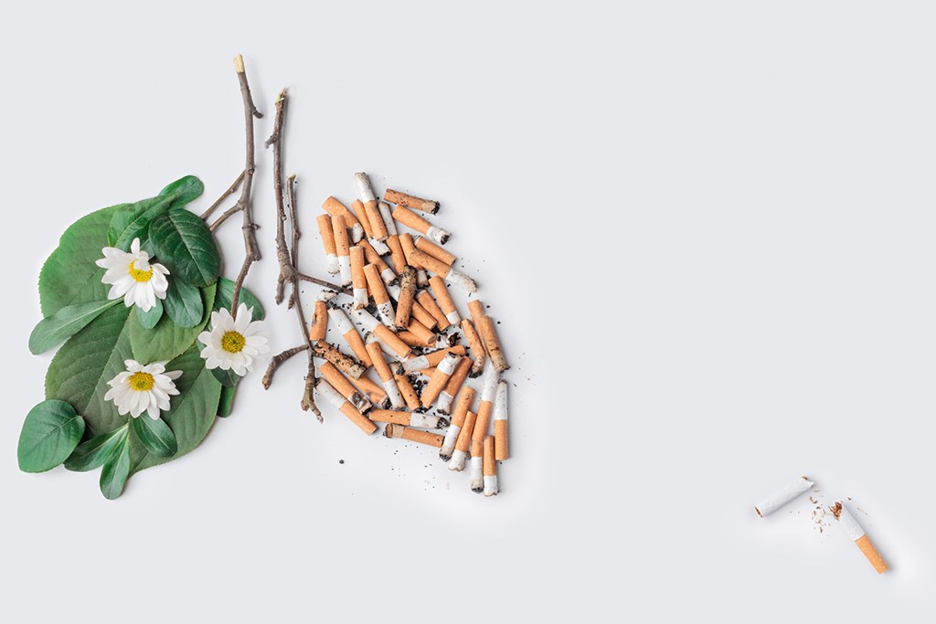 Республиканская информационно-образовательная акция «Беларусь против табака»