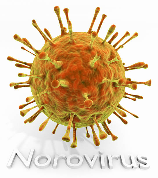 Норовирусная инфекция