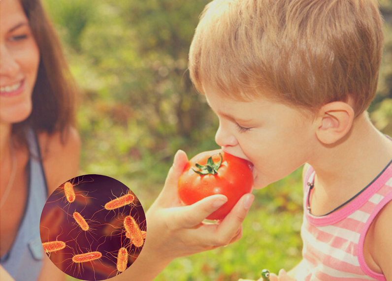 Профилактика кишечных инфекций  в жаркую погоду