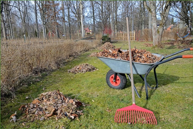 О наведении порядка