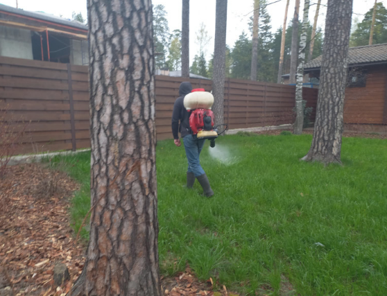 АКАРИЦИДНАЯ ОБРАБОТКА: ВОПРОСЫ И ОТВЕТЫ