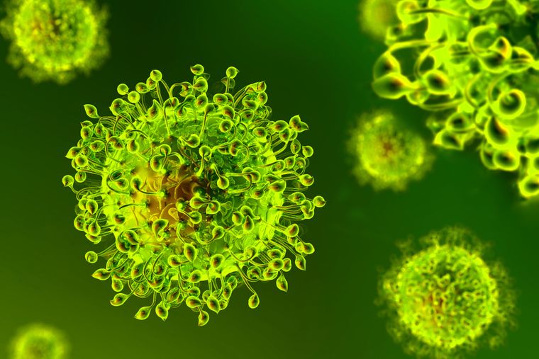 Основные правила,  выполнение которых позволит существенно снизить риск инфицирования респираторными вирусами, в том числе вирусами гриппа и коронавирусами нового типа (COVID-19)